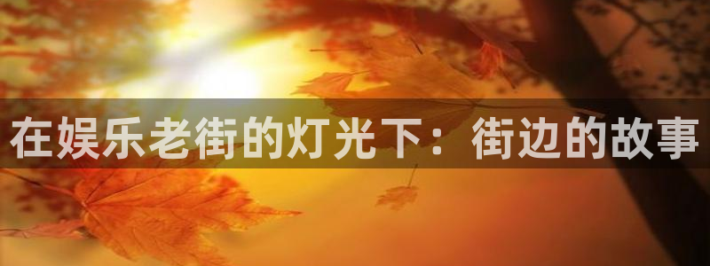 风暴娱乐登录地址：在娱乐老街的灯光下：街边的故事