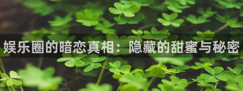 风暴娱乐官网：娱乐圈的暗恋真相：隐藏的甜蜜与秘密