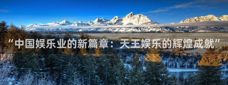 风暴娱乐官网：“中国娱乐业的新篇章：天王娱乐的辉煌成就”