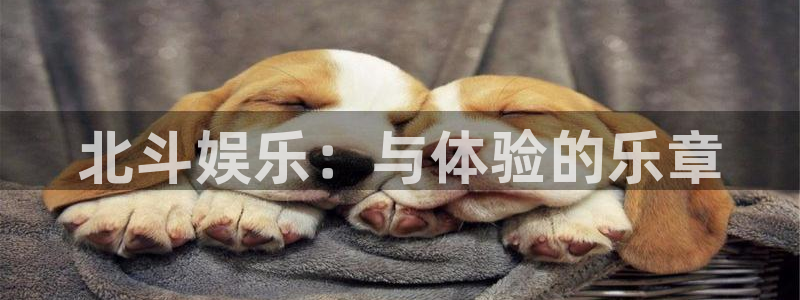 风暴娱乐：北斗娱乐：与体验的乐章