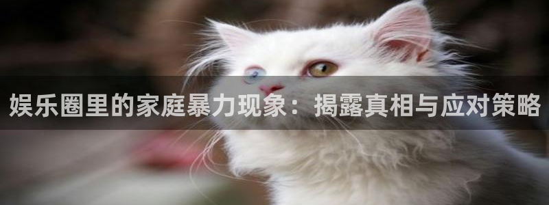 风暴娱乐登录入口：娱乐圈里的家庭暴力现象：揭露真相与应对策略
