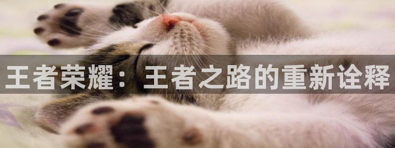风暴娱乐官网：王者荣耀：王者之路的重新诠释