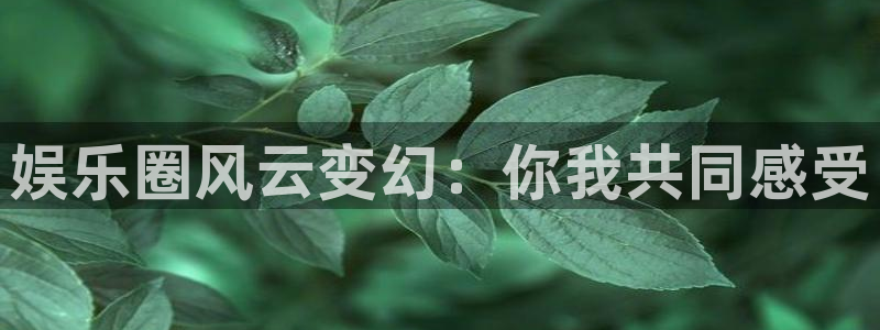 风暴娱乐官网：娱乐圈风云变幻：你我共同感受